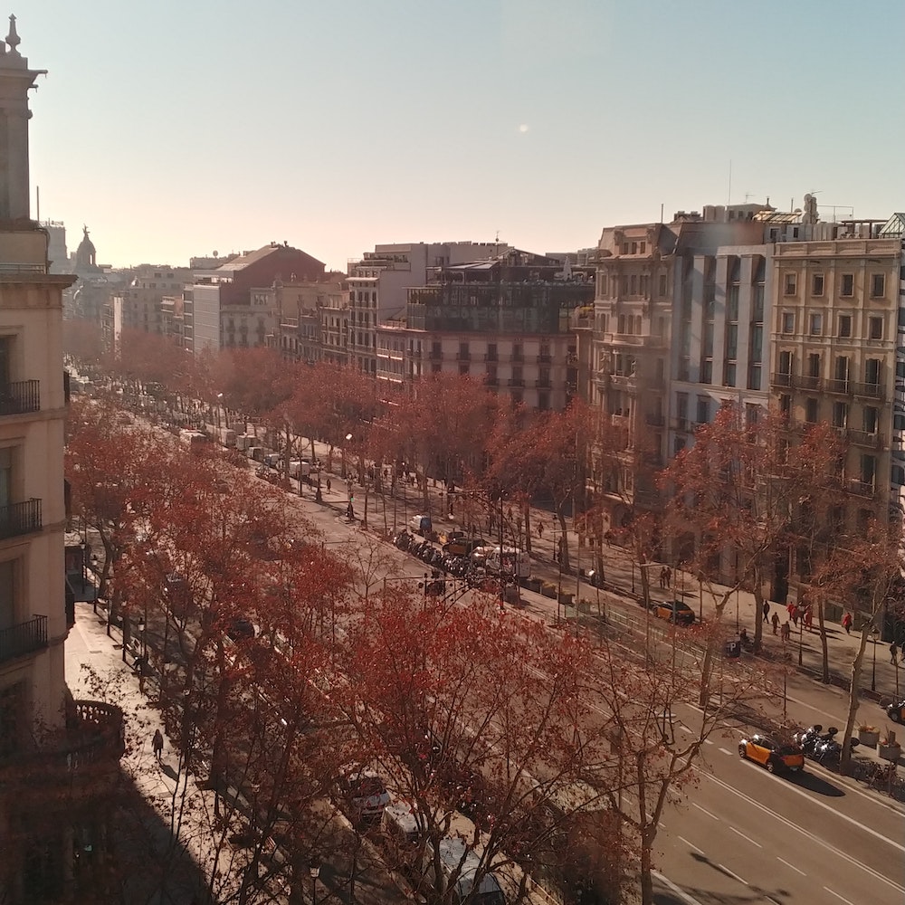 PROYECTO PASEO DE GRACIA